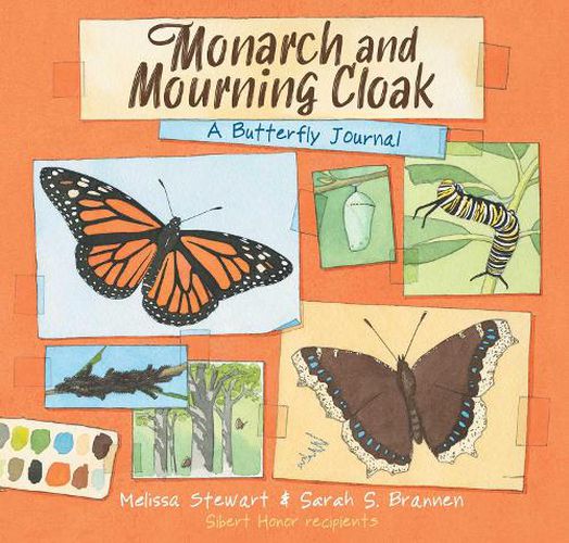Cover image for Monarch and Mourning Cloak