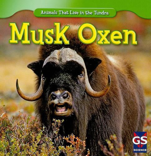 Cover image for Musk Oxen