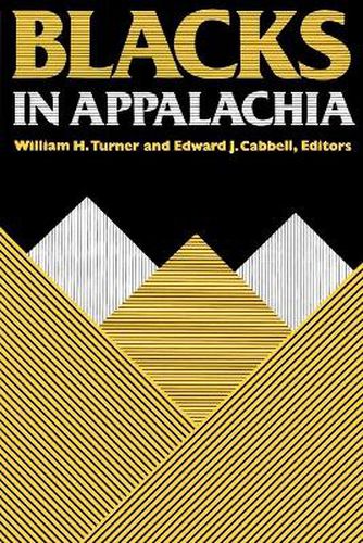 Cover image for Blacks in Appalachia