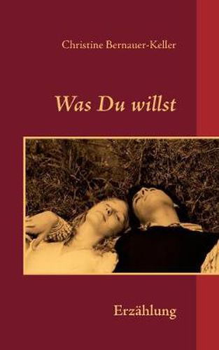 Cover image for Was Du willst: Erzahlung