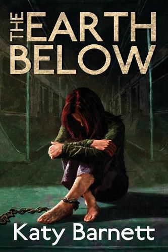 Cover image for The Earth Below