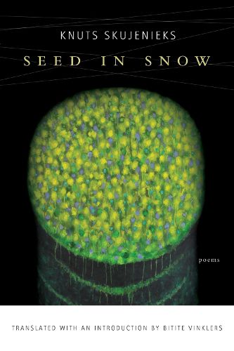 Cover image for Seed in Snow