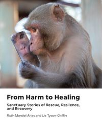 Cover image for From Harm to Healing