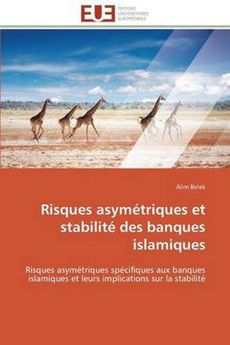 Cover image for Risques Asym triques Et Stabilit Des Banques Islamiques