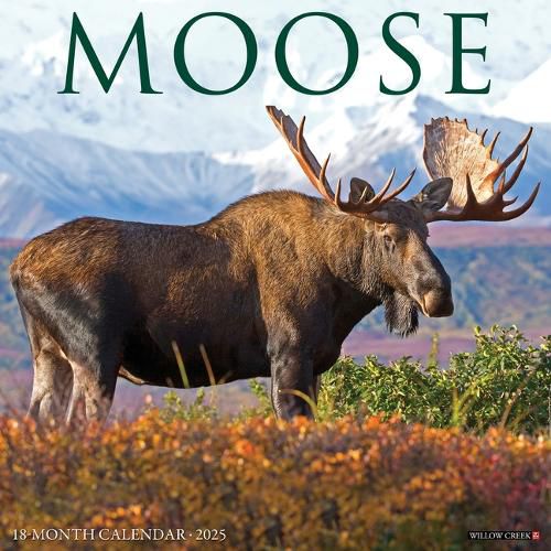 Cover image for Moose 2026 12 X 12 Wall Calendar