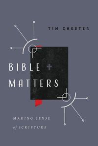 Cover image for Bible Matters: Making Sense of Scripture