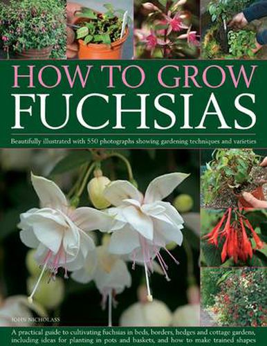 Cover image for How to Grow Fuchsias