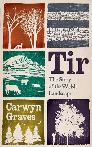 Cover image for Tir