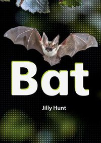 Cover image for Bat (Set 02)