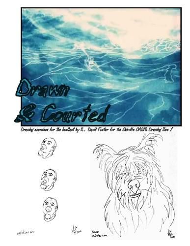 Cover image for Drawn & Courted