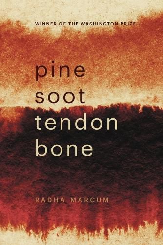 Cover image for Pine Soot Tendon Bone