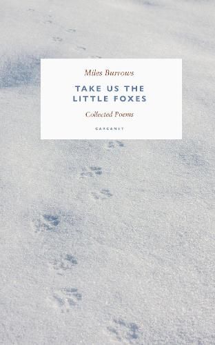 Cover image for Take us the Little Foxes: Collected Poems