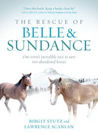 Cover image for The Rescue of Belle and Sundance: One Town's Incredible Race to Save Two Abandoned Horses