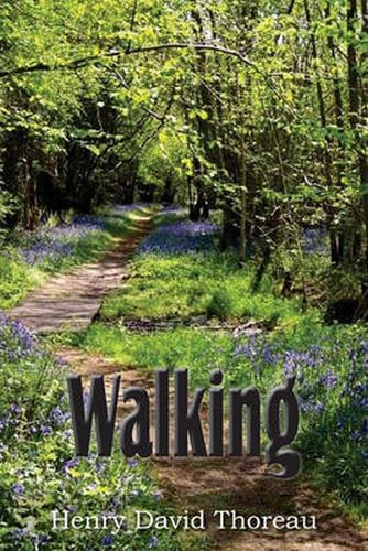 Cover image for Walking