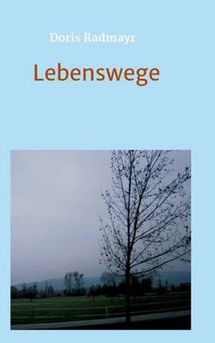 Cover image for Lebenswege