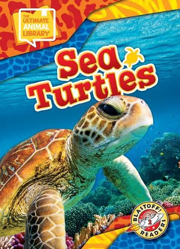 Cover image for Sea Turtles