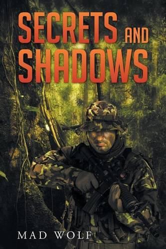 Cover image for Secrets and Shadows