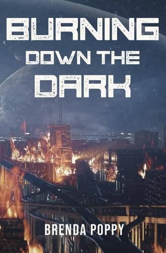 Cover image for Burning Down the Dark