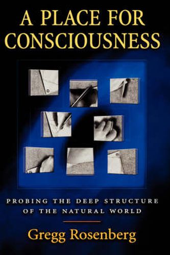 Cover image for A Place for Consciousness: Probing the Deep Structure of the Natural World