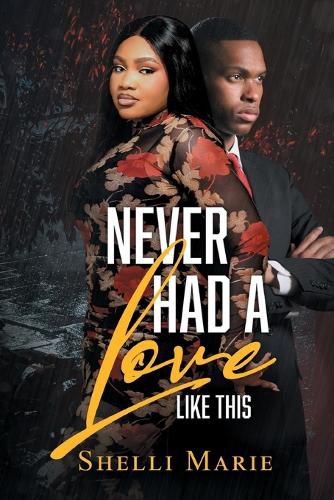 Never Had a Love like This