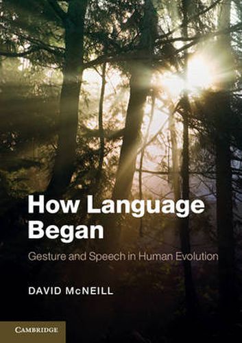 Cover image for How Language Began: Gesture and Speech in Human Evolution