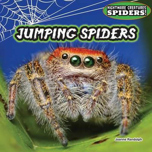 Cover image for Jumping Spiders