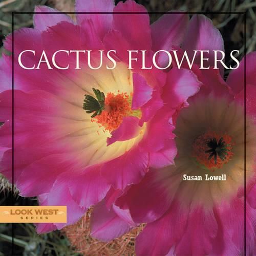 Cover image for Cactus Flowers