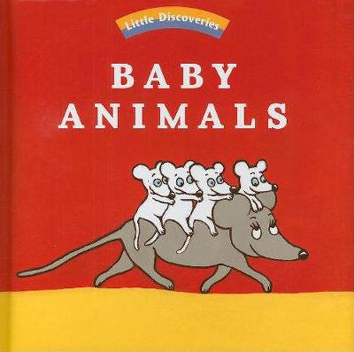 Cover image for Little Discoveries: Baby Animals