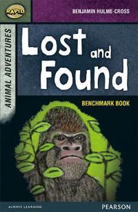 Cover image for Rapid Stage 7 Assessment book: Lost and Found