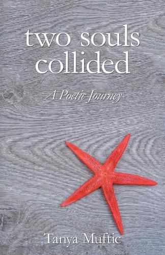 Cover image for Two Souls Collided: A Poetic Journey