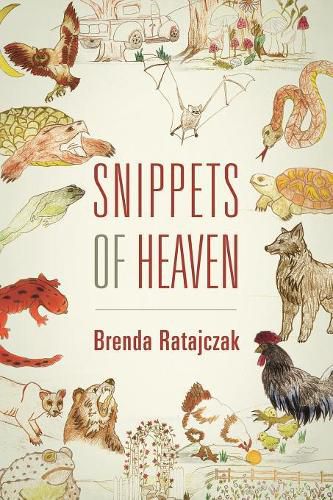 Cover image for Snippets of Heaven