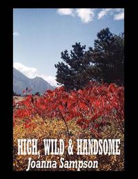 Cover image for High, Wild & Handsome