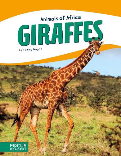 Cover image for Animals of Africa: Giraffes