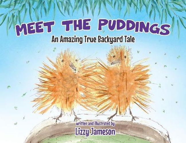 Cover image for Meet the Puddings