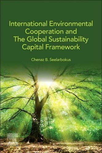 Cover image for International Environmental Cooperation and The Global Sustainability Capital Framework