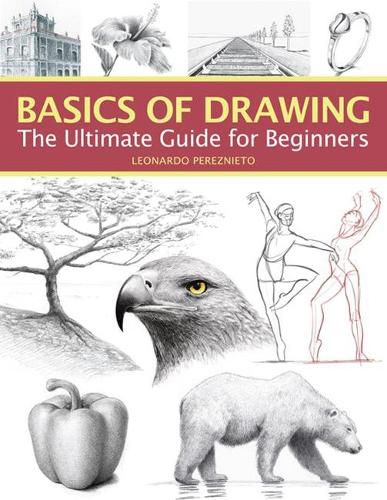 Cover image for Basics of Drawing: The Ultimate Guide for Beginners