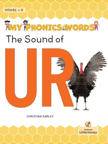 Cover image for The Sound of Ur