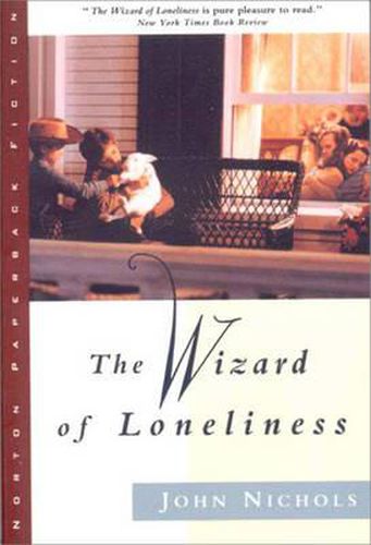 Cover image for The Wizard of Loneliness