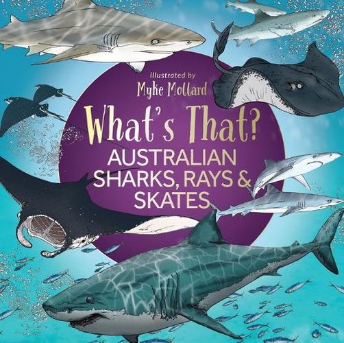 Cover image for What's That? Australian Sharks, Rays & Skates