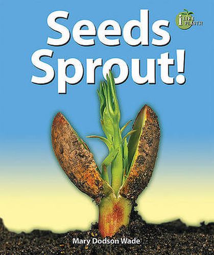 Seeds Sprout!