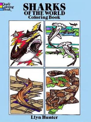 Cover image for Sharks of the World Coloring Book