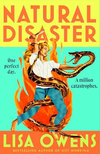 Cover image for Natural Disaster