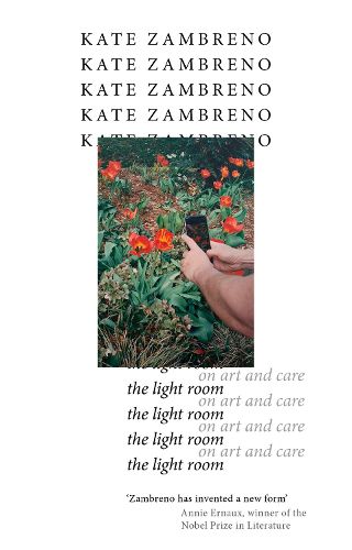 Cover image for The Light Room