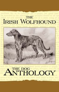 Cover image for The Irish Wolfhound - A Dog Anthology (A Vintage Dog Books Breed Classic)