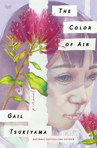 The Color of Air: A Novel