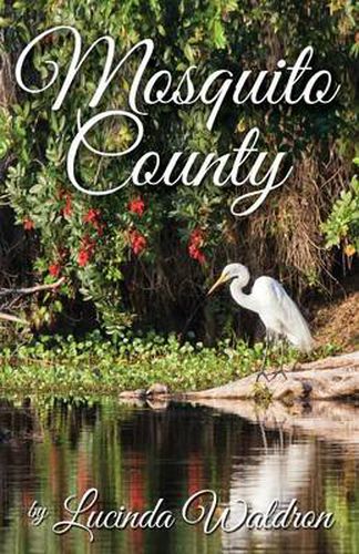 Cover image for Mosquito County