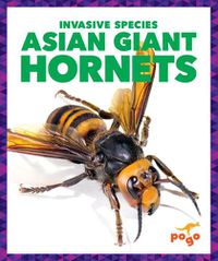 Cover image for Asian Giant Hornets