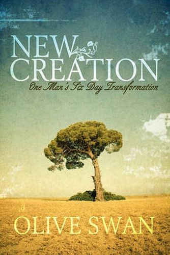 Cover image for New Creation