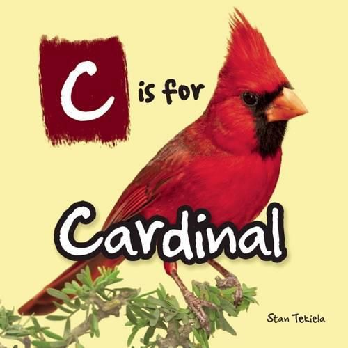 Cover image for C is for Cardinal