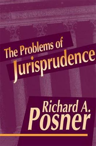 Cover image for The Problems of Jurisprudence